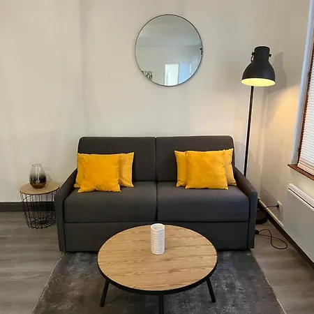 Appartement Cosy Hyper Centre Colmar Exterior photo