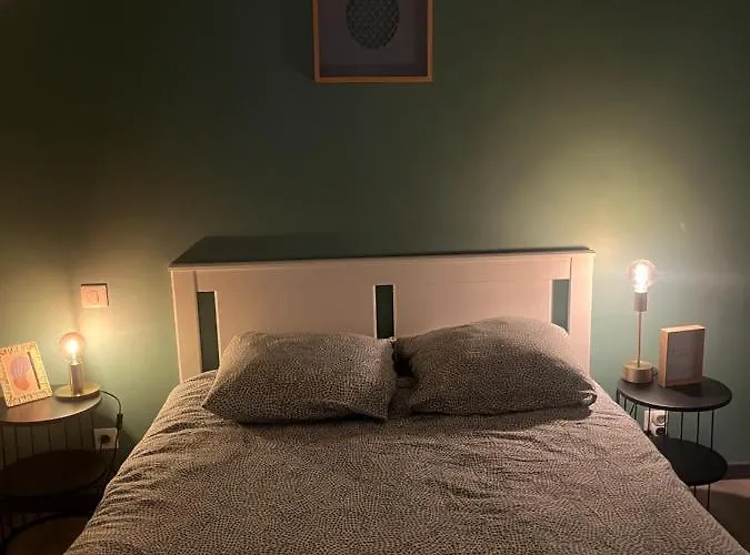 Appartement Cosy Hyper Centre Colmar